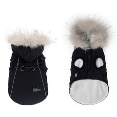 Teddy Bichon Pet Cotton Coat for Autumn and Winter