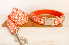 Thickened Dog Leash and Collar Set for Pets
