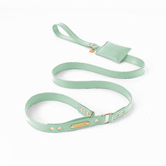 One-Piece Leather Explosion-Proof Dog Leash