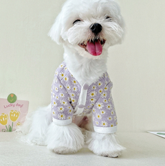 Autumn and Winter Clothes for Dogs and Cats