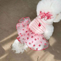 Cute Mesh Strawberry Strap Dog Dress