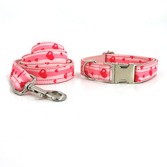 Quality Dog Collar and Leash Set for Pets